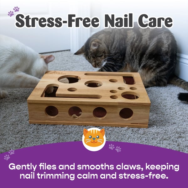 🐾Cat Nail File Enrichment Box