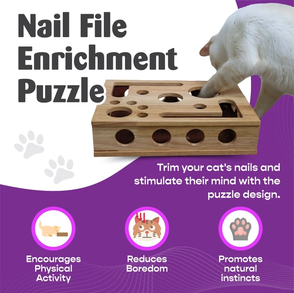 🐾Cat Nail File Enrichment Box