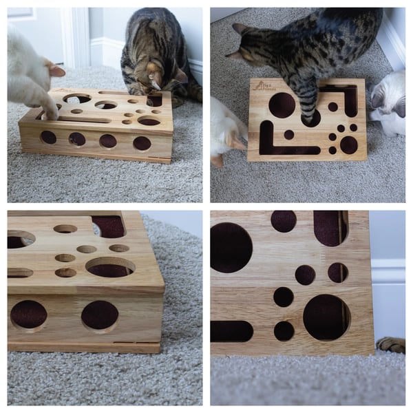 🐾Cat Nail File Enrichment Box